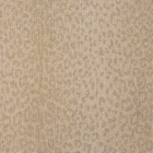 LUSTERPOINT LEOPARD POINT LPDPT SAVANNAH CUSTOM