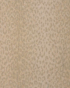 LUSTERPOINT LEOPARD POINT LPDPT SAVANNAH CUSTOM