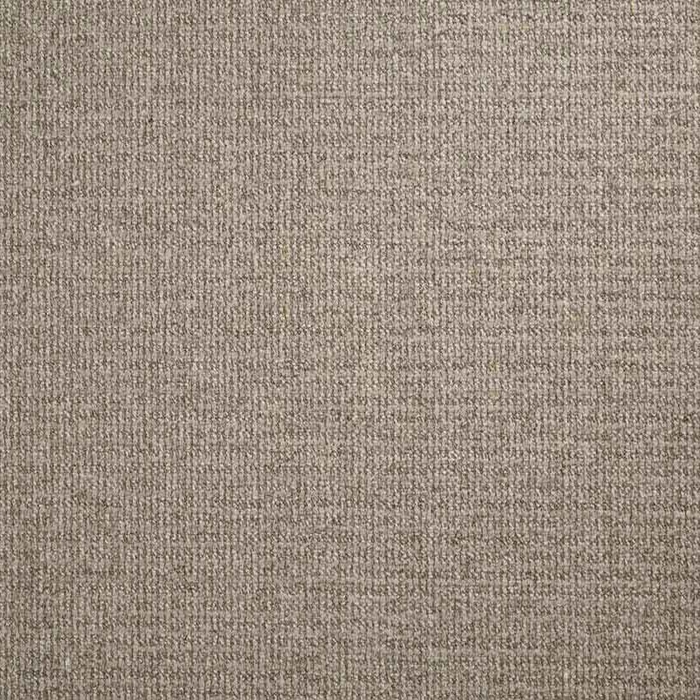 Pacific Tweed Pactw Ash Broadloom Carpet