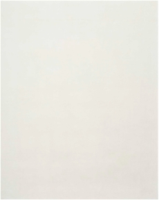 8' x 10' Area Rug