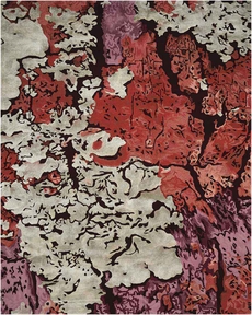 8' x 10' Area Rug