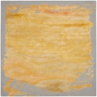 4' x 6' Area Rug