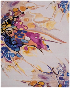 6' x 8' Area Rug
