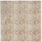 5' x 7' Area Rug