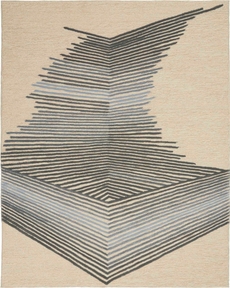 5' x 8' Area Rug