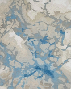 5' x 8' Area Rug