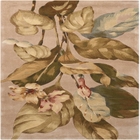 4' x 6' Area Rug