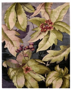5' x 8' Area Rug