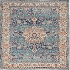5' x 7' Area Rug